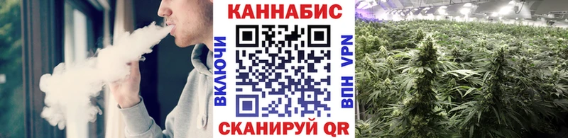 МАРИХУАНА MAZAR  omg ССЫЛКА  Сураж  где можно купить  